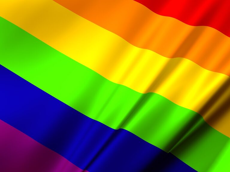 Semdh realiza webnário no Dia Internacional do Orgulho LGBT