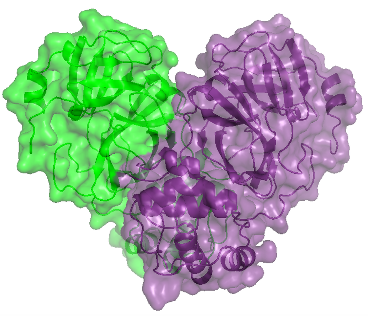 Pesquisadores estudam proteínas do Sars-CoV2 no laboratório Sirius