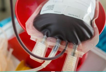 Hemocentro da Paraíba promove Semana do Doador de Sangue