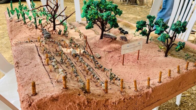 Conexão Mundo: professor desenvolve projeto de recuperação de áreas degradadas no Cariri após especialização na Espanha