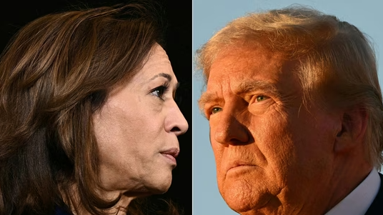 Brasileiros preferem Kamala Harris como a próxima presidente dos EUA