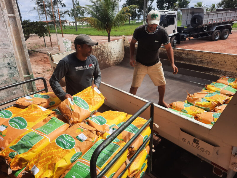 Governo da Paraíba distribui 530 toneladas de sementes em toda a Paraíba