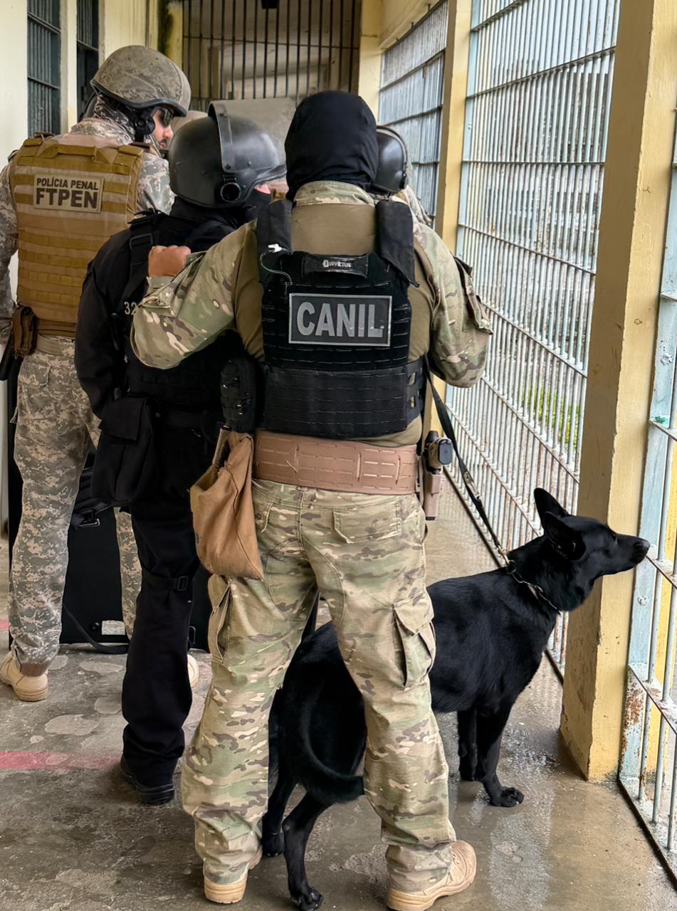 Imagem da notícia