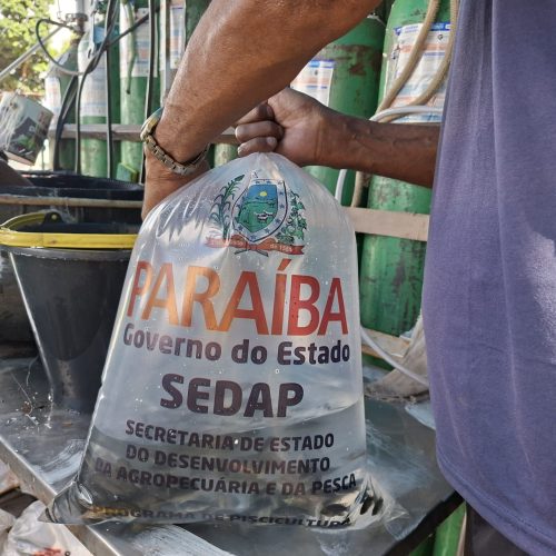 Sedap-PB entrega 210 mil alevinos durante o mês de outubro
