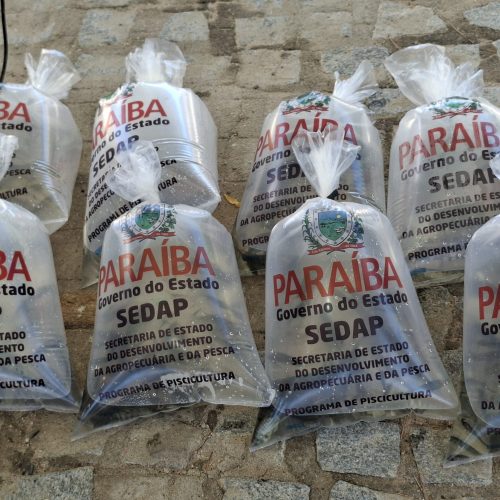 Sedap-PB distribui 200 mil alevinos para seis municípios, nesta terça-feira (30)