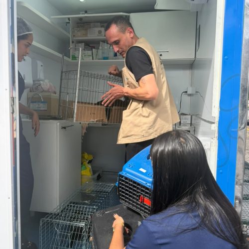 Parceria entre Hospital Edson Ramalho e Secretaria da Proteção Animal reforça saúde pública e segurança sanitária