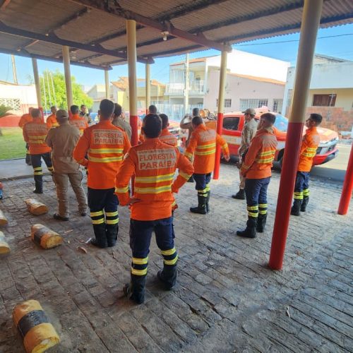 Operação Queimadas: Corpo de Bombeiros mobiliza força-tarefa para combater incêndio florestal na serra de Lagoa