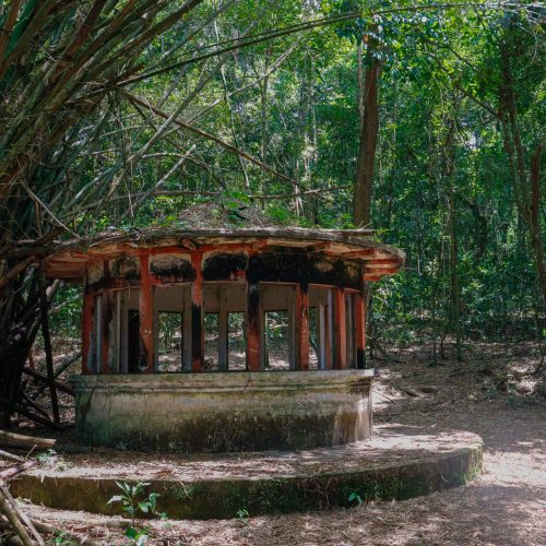 Jardim Botânico e Vale dos Dinossauros abrem na segunda (12) e fecham na terça (13)