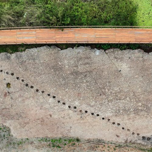 Jardim Botânico e Vale dos Dinossauros funcionam normalmente no feriado de 5 de agosto