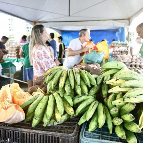 Feira-da-agricultura-familiar-3-1024x683-1.jpg