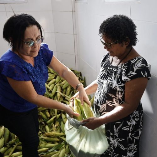 Sedes_milho_cozinhas-comunitarias01-1024x848-1.jpg