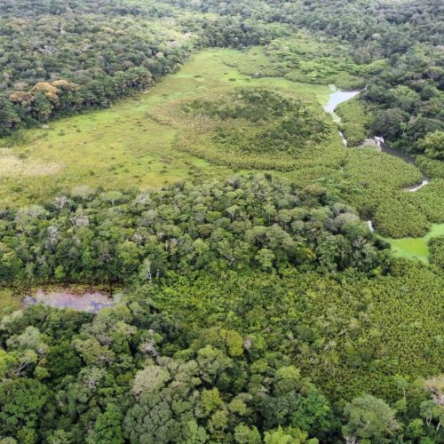 Jardim Botânico terá programação especial para comemorar o aniversário da Mata do Buraquinho