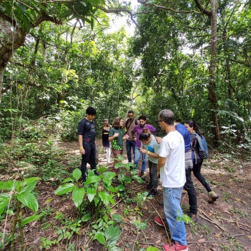 Jardim Botânico tem programação especial “Seja Biólogo por Um Dia” nesta quinta em comemoração ao Dia do Biólogo